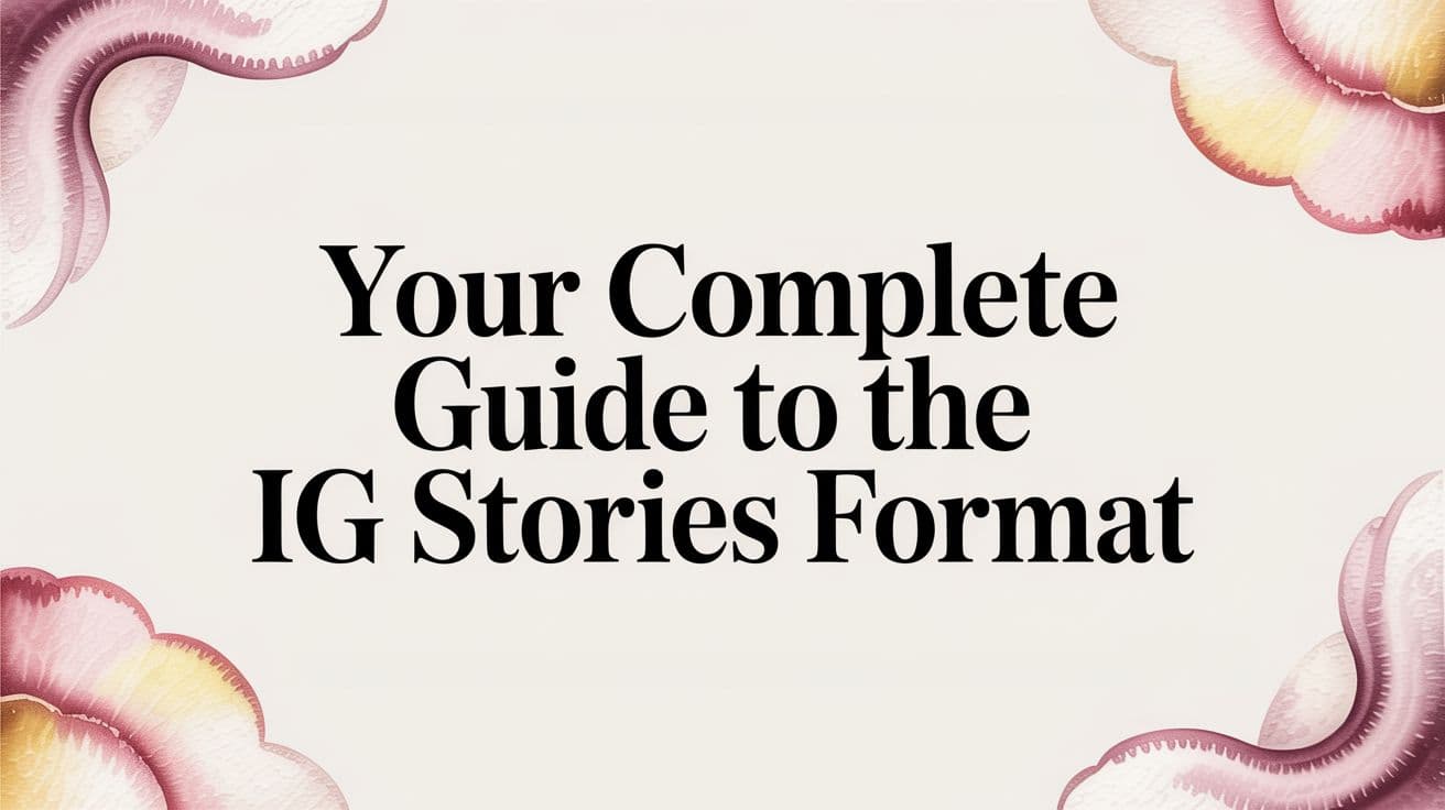 Featured image for: Your Complete Guide to the IG Stories Format