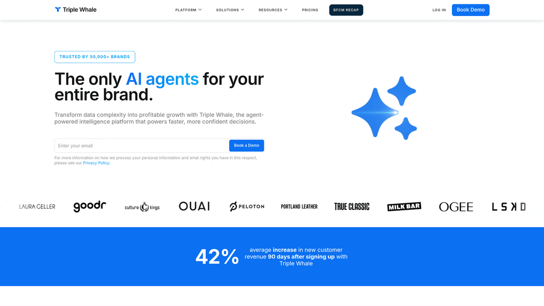Screenshot of Triple Whale website homepage