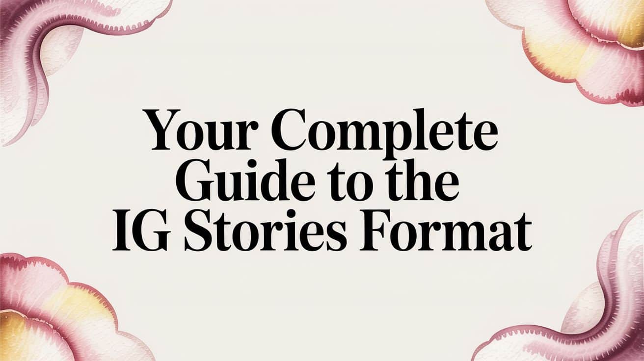 Featured image for Your Complete Guide to the IG Stories Format