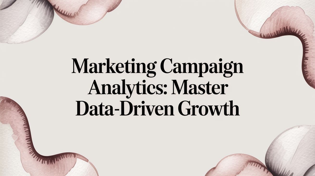 Featured image for Marketing Campaign Analytics: Master Data-Driven Growth